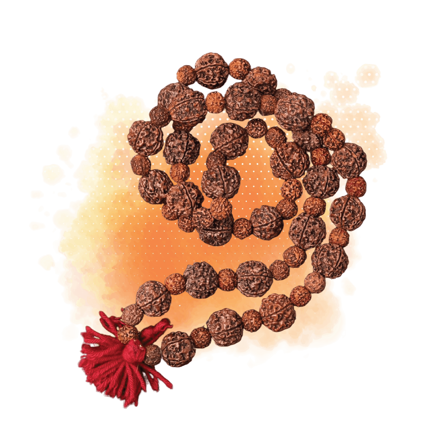 rudra-1 (1)
